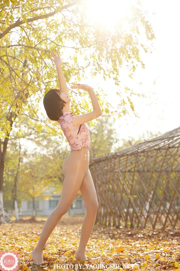 唐飞飞《太极小宗师》